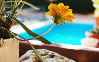 Decora tu piscina y tu jardín para disfrutarlos en verano