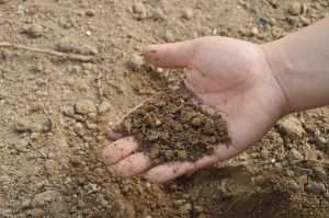 oxigenar la tierra del jardín en invierno