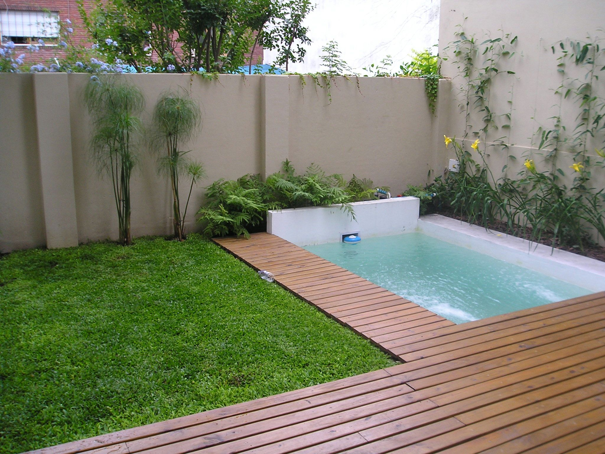 piscina con borde de madera